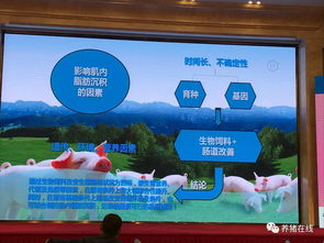 快来看啊 11月17日中国猪产业链生态圈峰会开始啦